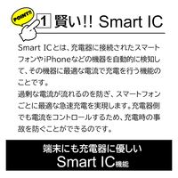 エアージェイ 【+ECO】PD20W対応(USBX2TYPE-CX1)AC充電器 WH AKJ-E20WPD3 1個