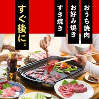 【EC専売】お部屋のスッキーリエア 焼肉消臭 1セット（3個） アース製薬