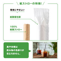 パックスタイル 国産 紙ストロー 6φ×196mm 黒　3000枚(250枚×12) 00696852（直送品）