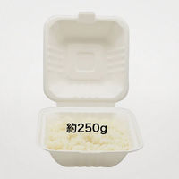 パックスタイル 弁当容器 新ABランチ150-150 500枚(50枚×10) 00697878 1セット(500枚(50枚×10)入)（直送品）