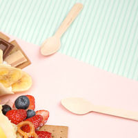 やなぎプロダクツ カトラリー 紙完封木製デザートスプーン11cm 100本入 8点 Y-199 1セット(8点入)（直送品）