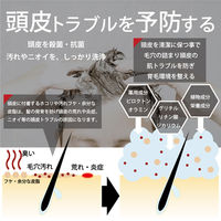 DiNOMEN（ディノメン） 薬用スカルプケアリンスインシャンプー 500ml 桃山ホールディングス