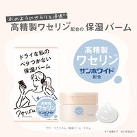 サナ ワセリズム 保湿バーム 90g 常盤薬品工業