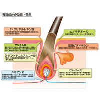 レディース加美乃素EX 無香料 150ml 加美乃素本舗