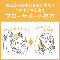 リーゼ　内向きスタイルつくれるシャワー　本体　200ml　花王
