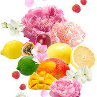 MACHERIE（マシェリ） パーフェクトシャワー EX しっとり 本体 250mL 寝ぐせ直し ファイントゥデイ