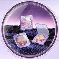 ZEESEA（ズーシー） ハイライティングブラッシュ01