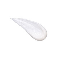 クレンジングリサーチ ウォッシュクレンジング N 120g 2個 メイク落とし 洗顔 スクラブ BCL カンパニー