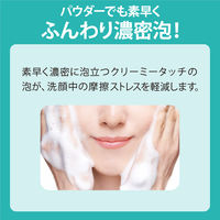 クレンジングリサーチ パウダーウォッシュ 0.4g×30包 黒ずみ 毛穴汚れ パウダー洗顔 BCLカンパニー