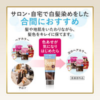 ビゲン カラートリートメント ナチュラルブラック ホーユー