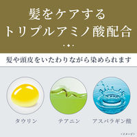 メンズビゲン カラーリンス 白髪用 トリプルプラス アッシュブラック 120g 1個 ホーユー