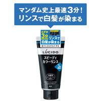 ルシード スピーディカラーリンスナチュラルブラック メンズ用 無香料 160g  マンダム