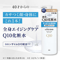 ルシード（LUCIDO）Q10化粧水 全身用スキンケア 大容量 300ml1個