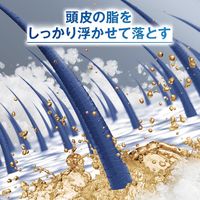 CLEAR（クリアフォーメン）ブルーエナジー 4x スカルプシャンプー オイリーヘア用シリーズ ポンプ 本体 350g ユニリーバ