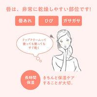 Avene（アベンヌ） 薬用リップケア モイスト 4g 〈リップクリーム 敏感肌用〉