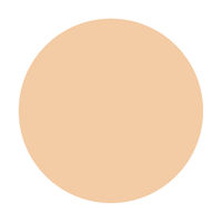 インテグレートグレイシィ プレミアムパクト レフィル オークル10 SPF25・PA++ 資生堂