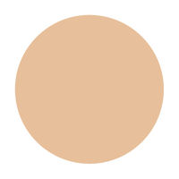 インテグレートグレイシィ プレミアムパクト レフィル オークル20 SPF25・PA++ 資生堂