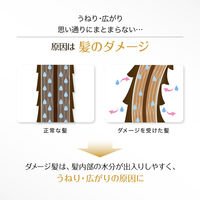 ロレアル パリ エルセーヴ ヘアオイル セラム 100mL 集中補修 (洗い流さない ヘアトリートメント)