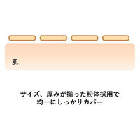 ORBIS（オルビス） スティックコンシーラー ナチュラル（自然な肌色） SPF30・PA+++