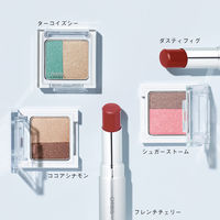 ORBIS（オルビス） ツイングラデーションアイカラー （パウダータイプ） ココアシナモン