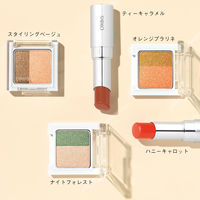 ORBIS（オルビス） ツイングラデーションアイカラー （パウダータイプ） オレンジプラリネ