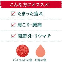 入浴剤 クナイプ バスソルト グーテエアホールング ウィンターグリーン＆ワコルダーの香り ボトル 850g 1個 医薬部外品 クナイプジャパン