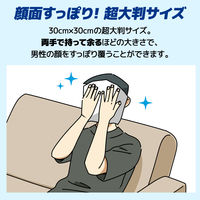 エリエール for MEN フェイスシート ドデカシート シトラスの香り 徳用 30枚入 1個 大王製紙