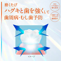 歯磨き粉 ピュオーラ PureOra36500 薬用マルチケア ペーストハミガキ FJ 85g 1個 花王