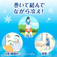 ビオレ 冷バンド 無香性 個包装 3枚入 冷却シート 花王