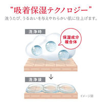 hadakara（ハダカラ） ボディソープ　フローラルブーケの香り 本体 550ml ライオン【泡タイプ】