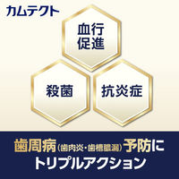 カムテクト ハミガキ プレミアム ホワイトニング 95g Haleonジャパン 歯磨き粉