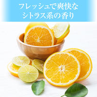 GATSBY（ギャツビー）制汗剤 ボディ用 パウダー デオドラントスプレー クールシトラス 130g マンダム