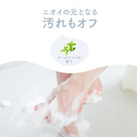 ドクターショール スクラブソープ 足裏 かかと 角質ケア用 固形せっけん 1個 ショールズウェルネスカンパニー