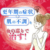 命の母 メグリビa 加味逍遥散（かみしょうようさん） 四物湯（しもつとう） 168錠 小林製薬【第2類医薬品】