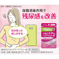 ハルンケア ベアベリー錠 84錠 大鵬薬品 残尿感の改善・排尿時の不快感【第2類医薬品】