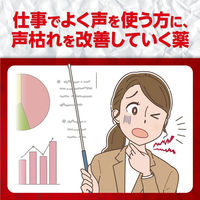 コエキュア 6包 小林製薬【第2類医薬品】