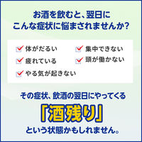 アルピタンγ 16錠 小林製薬 二日酔い【第2類医薬品】