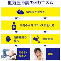 テイラック 48錠 小林製薬 五苓散（ごれいさん） 低気圧 頭痛 むくみ 漢方薬【第2類医薬品】