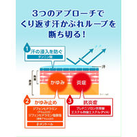 液体アセムヒEX 35ml 池田模範堂  かゆみ止め 汗かぶれ かぶれ しっしん 皮ふ炎 あせも じんましん 虫さされ【指定第2類医薬品】