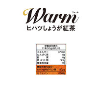 【スティック】【機能性表示食品】日東紅茶 Warm（ウォーム）ヒハツしょうが紅茶 1袋（8本入）