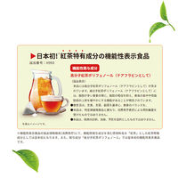 【機能性表示食品】日東紅茶 Style（スタイル）オリジナルブレンドティーバッグ 1セット（24バッグ:8バッグ入×3個）