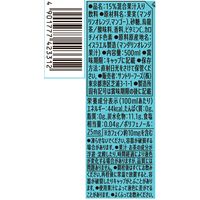 サントリー 烏龍茶 好烏龍（ハオウーロン）マンゴー＆マンダリンティーエード 500ml 1セット（48本）
