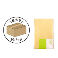 エヒメ紙工 クラフト封筒 17枚20パック(340枚入) A5 角形6号 A-F-13×20P 1箱