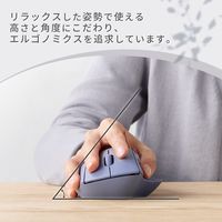 無線 2.4GHz マウス 静音 ワイヤレスマウス 5ボタン チルトホイール付 ネイビー M-SH30DBSKNV エレコム 1個