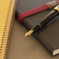 セーラー万年筆 プロフィットスタンダード万年筆 ブラック Z(ズーム) 101619720 1本