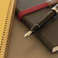 セーラー万年筆 プロフェッショナルギアスリム銀 万年筆 ブラック M（中字） 101222420 1本