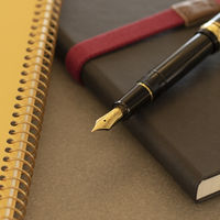 セーラー万年筆 プロフィットスタンダード万年筆 ブラック F(細字) 101619220 1本