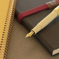 【アウトレット】セーラー万年筆 プロフィットスタンダード万年筆 アイボリー M(中字) 101619417 1本