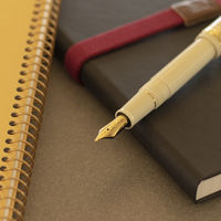 【アウトレット】セーラー万年筆 プロフィットスタンダード万年筆 アイボリー Z(ズーム) 101619717 1本