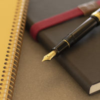 セーラー万年筆 プロフィットスタンダード万年筆 ブラック M(中字) 101619420 1本